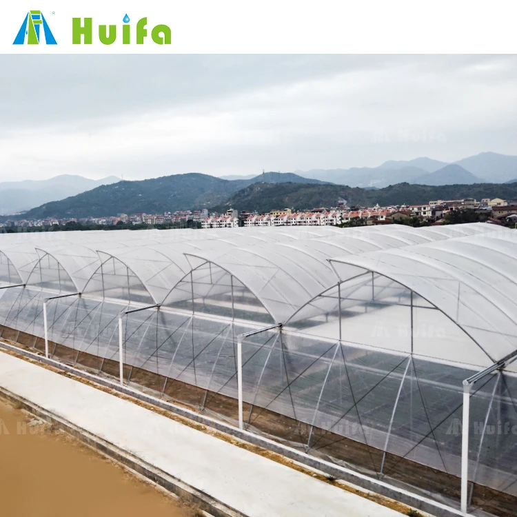 Uv Plastic Poly Film Tunnel Greenhouse For Agriculture Vegetable Grow
