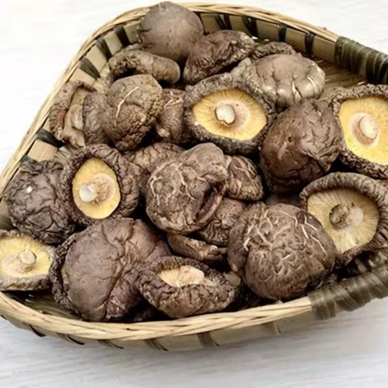 High Quality Shiitake Spawn Biodegradable Mushroom Dried Shiitake Mushroom Slice  Dry Mushrooms