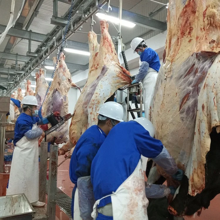 abattoir machinery cow slaughterhouse equipment cattle slaughtering equipment