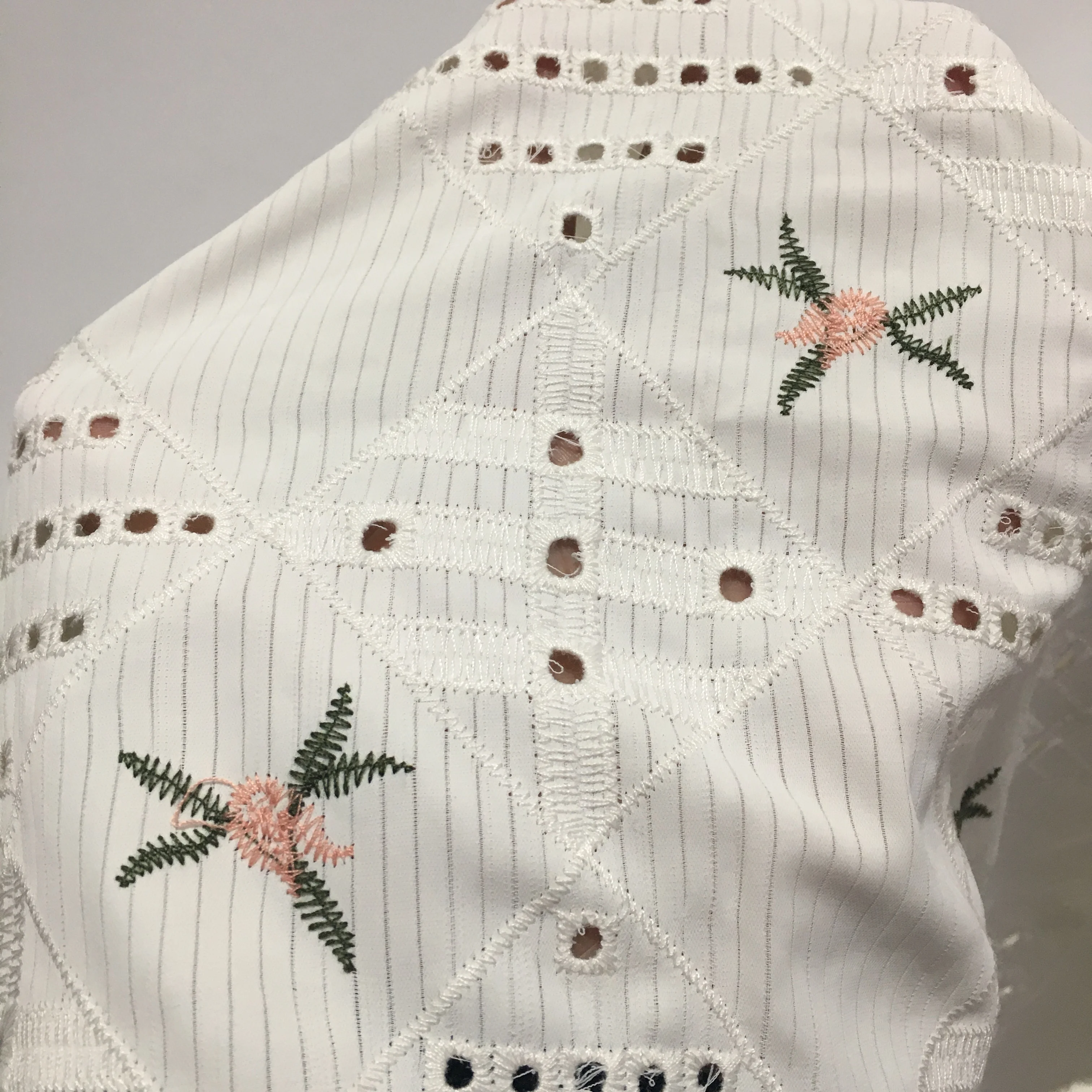 
Polyester Jacquard White Ground Eyelet with Flower Embroidery Lace Dress Fabric 