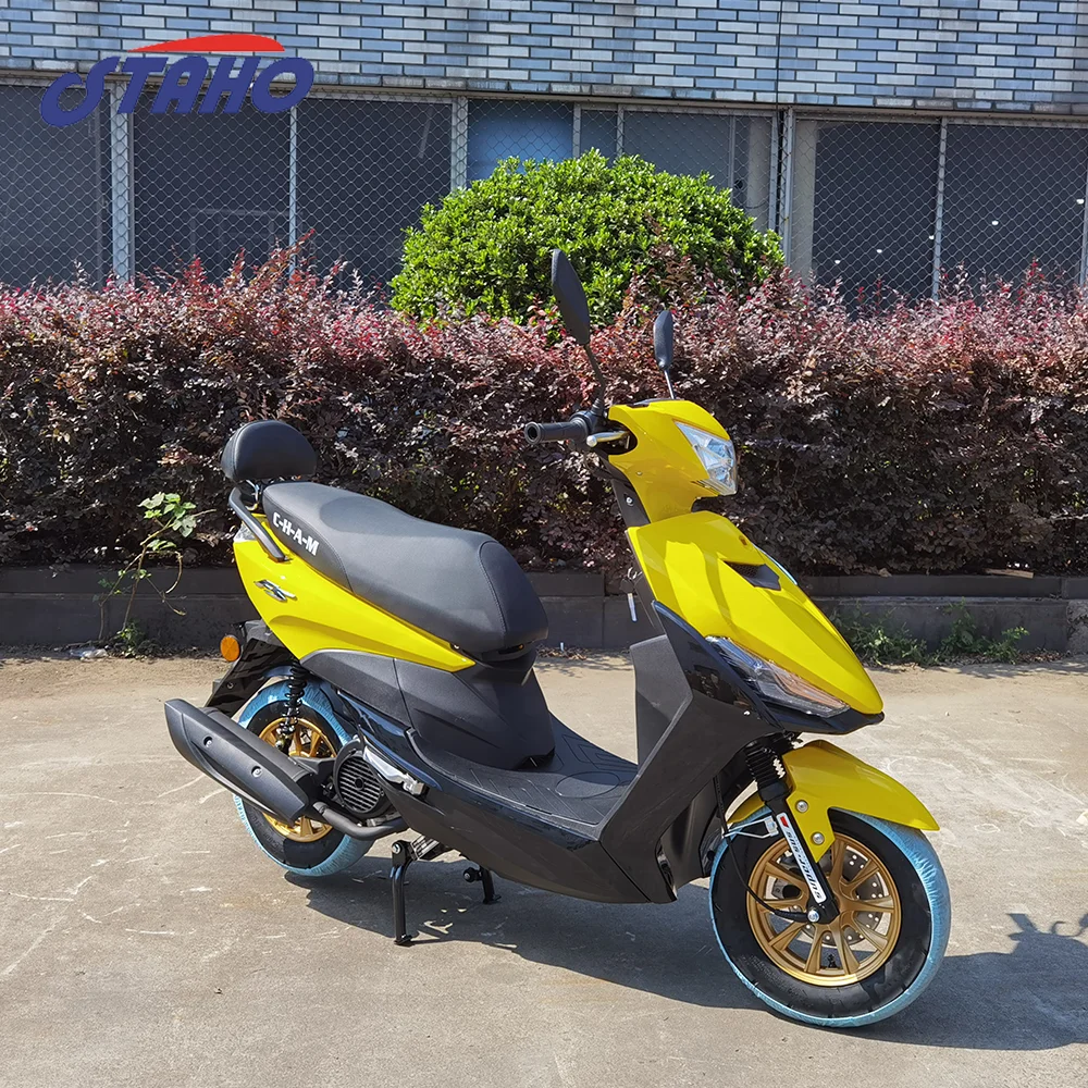 Good Quality Cheap Price Preferential Price Chopper Parts Gas Fuel Powered Scooter for Adult FS Scooter 50cc