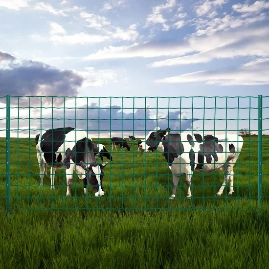 Евро забор с ПВХ покрытием для сада китайский оптовик практичный голландский Сварной Забор из проволочной сетки пластиковым Голландская Голландия