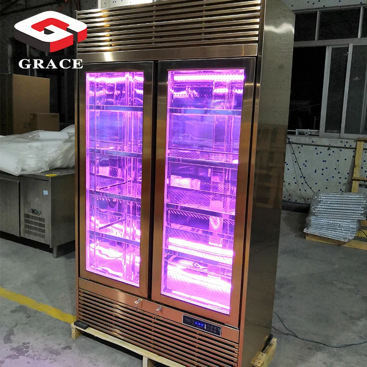 Grace 500L single door Strong air purification meat ager aging refrigerator beef age dry aged fridge