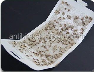 Haierc moth traps for clothes pantry moth trap fly glue trap with pheromones