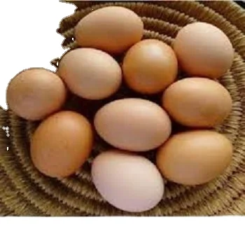 Высокое качество для продажи свежие куриные яйца ферма поставщики оптом