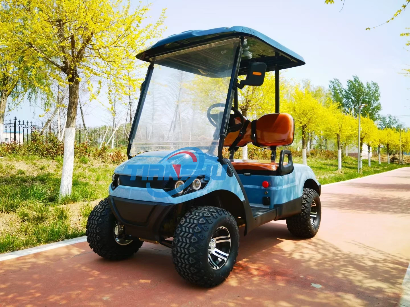 Tianshu Ce Gasoline golf cart with Oil Cooler 2 seat Gas 300CC Oil Cooler Steel Free custom logo 15L Fuel tank capacity
