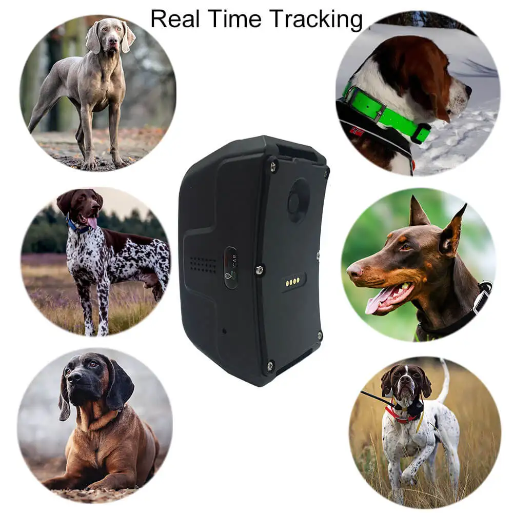 Высокое качество Icar 122pro 4g Hound Gps трекер собака в режиме реального времени устройство слежения Chien