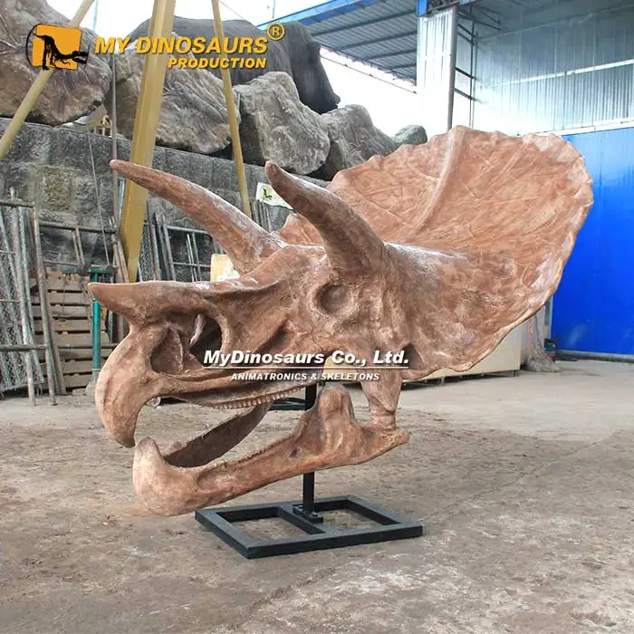 Z My Dino DS-055 оптовая продажа реалистичные скелет динозавра Трицератопс