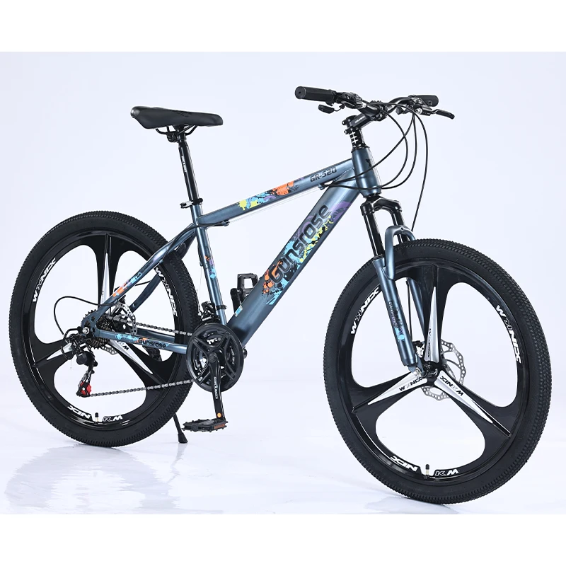 Factory Price 26 Inch 21 Speed High Carbon Steel Fat Tyre Other Mountain Dirty Bike