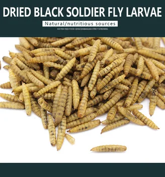 Dried Black Soldier Fly Larvae 2 LBS