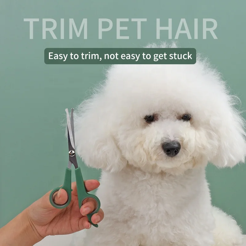 Factory Wholesale Tied Card Packaging Cat Hair Scissors Pet Dog Grooming Hair Clipper