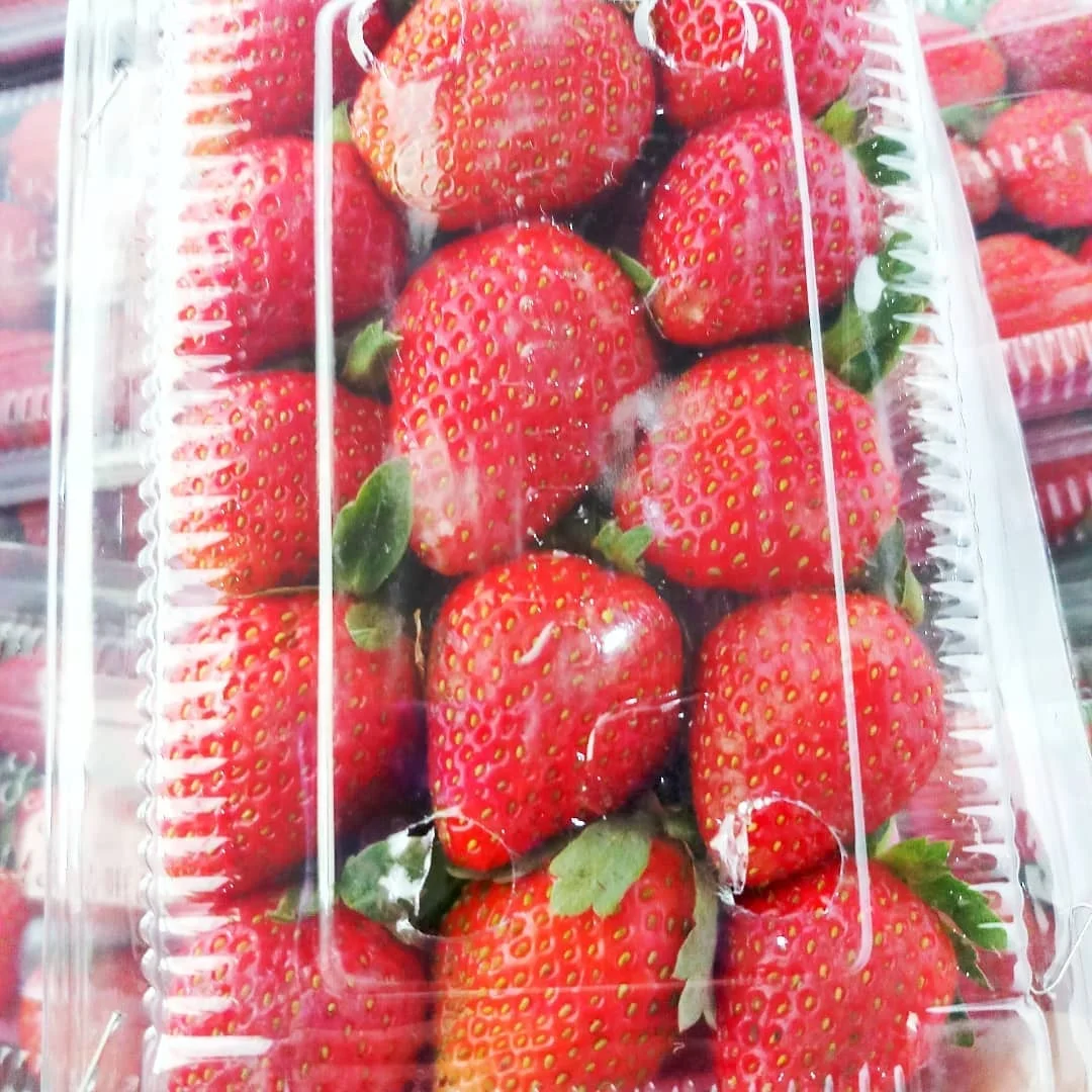 
FROZEN WHOLE STRAWBERRY AVAILABLE AT VERY GOOD PRICES 
