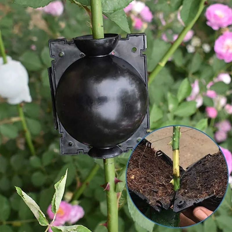 Plant Rooting Ball Grafting Rooting Growing Box Breeding Seeding Case Container Nursery Box for Garden Graft Box Sapling