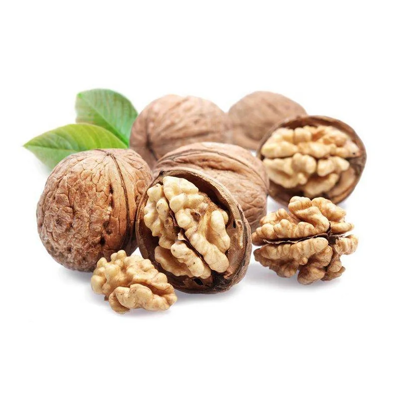 Halal Certificate Walnut Kernel Light Halves Butterfly Walnut Kernels For Mix Nuts And Food Ingredient Wholesale
