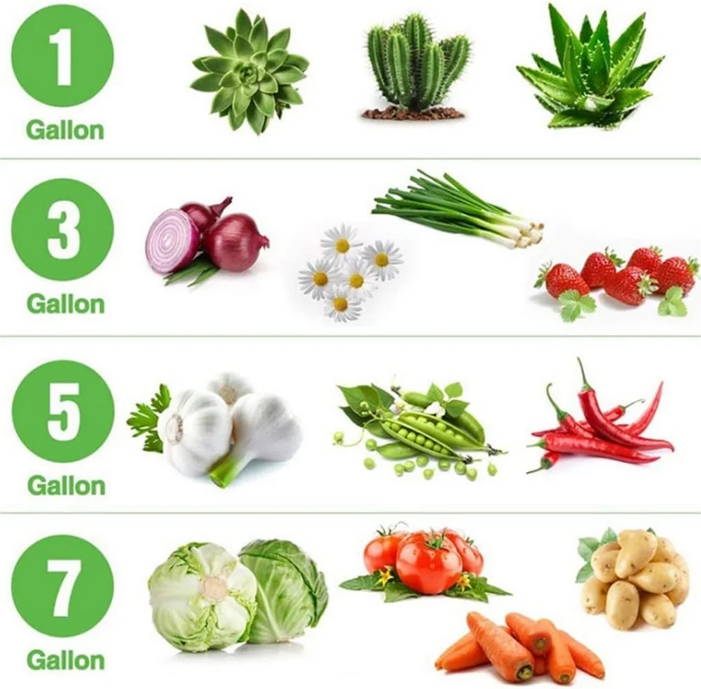10 Gallon Reusable Durable Lightweight Felt Fabric Plant Grow Bag with Large Capacity for Potato Tomato Onion Flower Vegetable