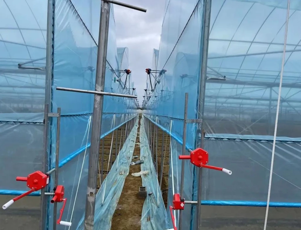 Factory Direct Low-Cost Small Agricultural Greenhouse Galvanized Steel Window Rolling Film Single Double Vegetable Growing