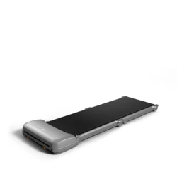 Best Price China Manufacturer Gym Fitness Equipment walkingpad C10.75HP DC Brush Motor.