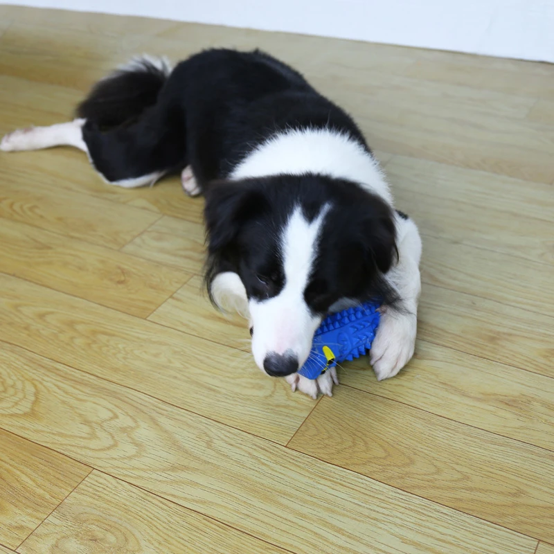 Blue 285C vampire teething High quality  hot selling rubber top seller pets interactive and chew toys Sound making toys