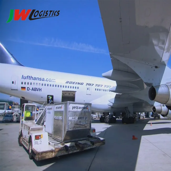 China top 10 sea freight forwarders to USA/Canada/European Inspection Service