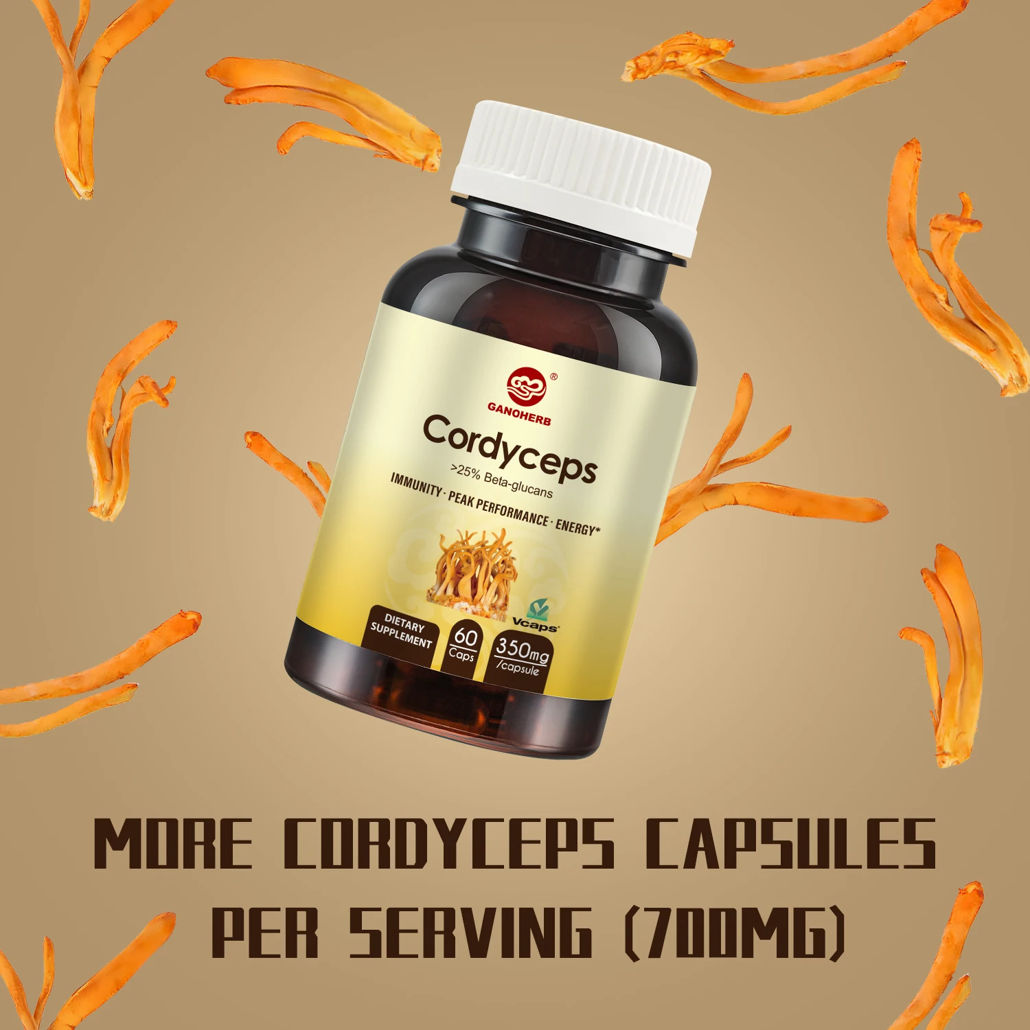 Organic Cordyceps Militaris Powder Capsule For Energy Booster