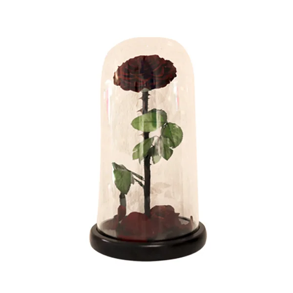 Gift for girlfriend Real Natural Preserved Rose Decoration Flower The twilight Dark red Rose Flower In Glass Black roses