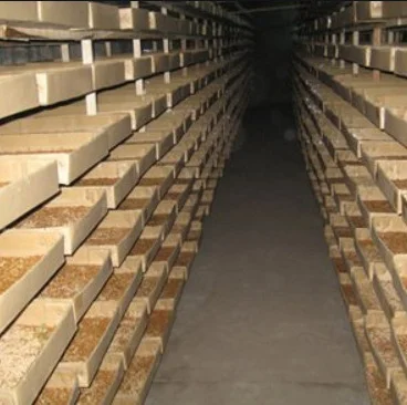 Goldfish Worms Dried Mealworm Koi King Betta Ornamental Fish Brine Shrimp Eggs Fish Food