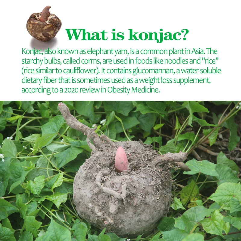 Factory wholesale China glucomannan konjac powder multifunctional high quality konjac powder plant extract konjac powder 25kg