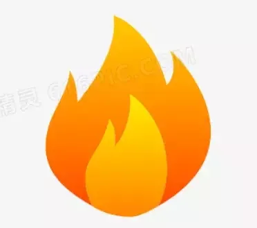 Shunli Customized Manufacturer 12V 24V Micro DC Gear Motor Worm Planetary Gearbox 100V 240V AC Shaded Pole Gear Motor OD6MM-70MM