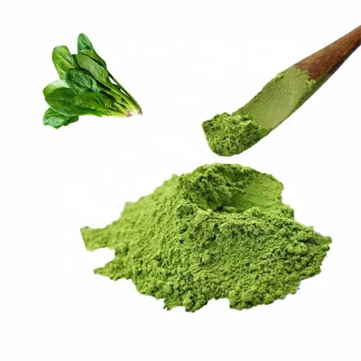 Fresh Vegetable Spinach Powder Bulk Organic  Spinach Extract
