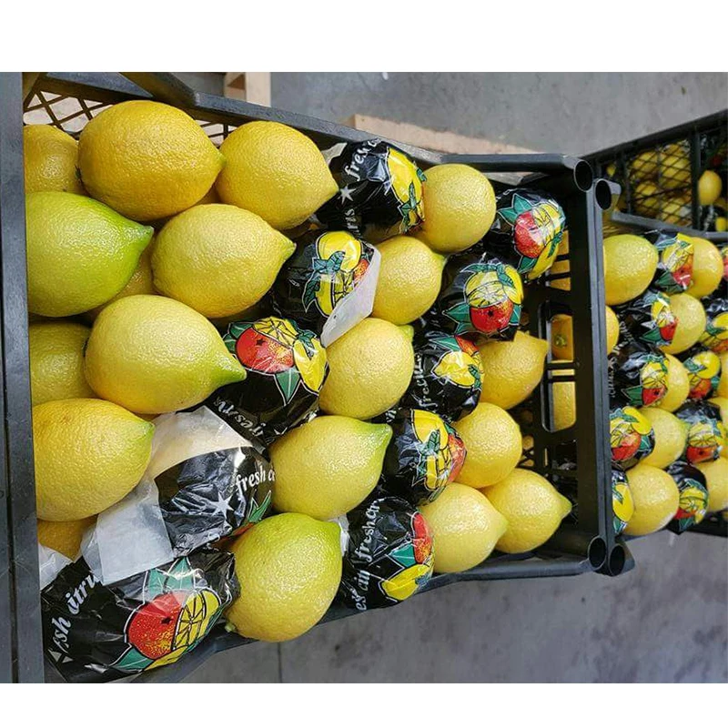 
100% Natural Pure Quality Rich Vitamin Fresh Fruit Lemon Citrus Fruit 