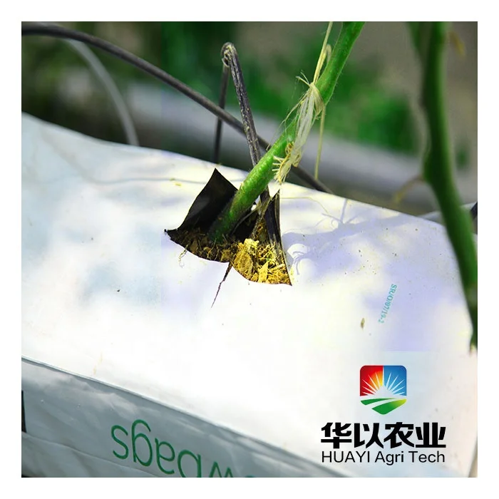 Automated hidroponic cultivation hydroponic vertical growing systems