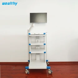 Thoracoscope cart with swing arm and high holder endoscopy cart