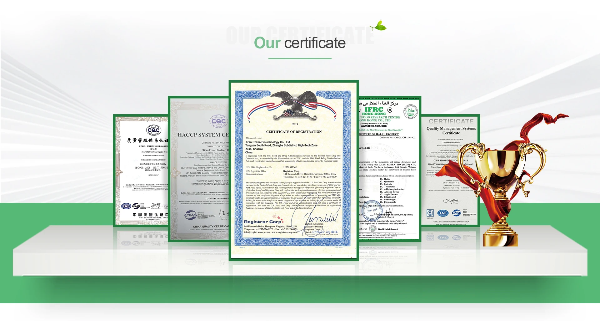 100% Soybeans oil for cooking/Refined Soyabean Oil Soybean Oil