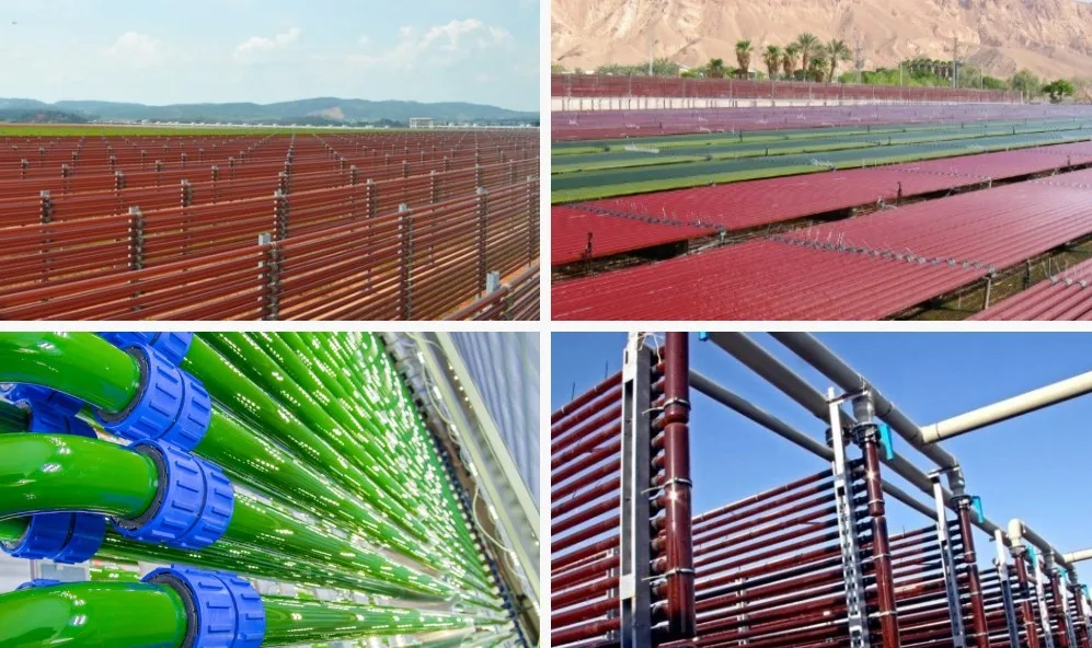 
Natural Food Grade Water Soluble Astaxanthin Powder Astaxanthin Oil 5% 10% <span style=