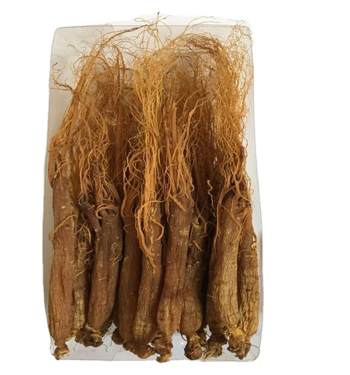 chinese changbaishan dried herbs  Panax red ginseng root