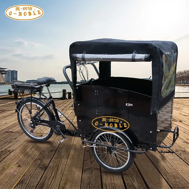Cargo bike with rain cover electric tricycle 3 wheel bike for carry children