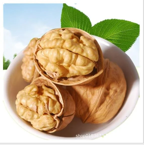 Cheap Walnuts Xinjiang Origin Walnuts Kernels Wholesale New Crop Butterfly Light Color Halves Walnut Kernel Factory Price