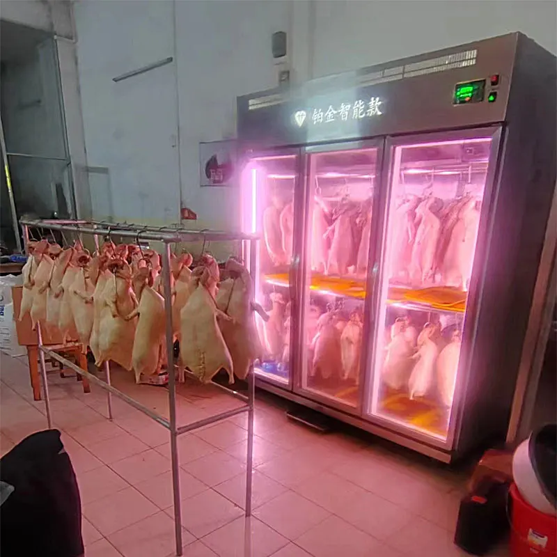 Commercial Stainless Steel Duck Dryer 2 Glass Door Dry Display Refrigerator Goose Drying Fridge