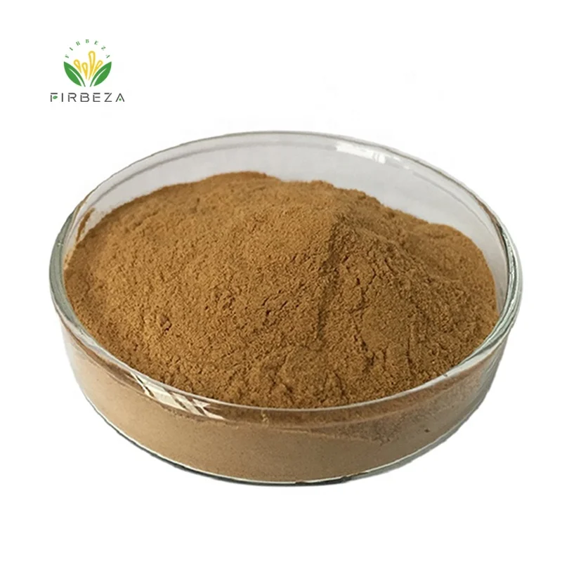 Bulk Organic 10:1 Antrodia Camphorata Antrodia Cinnamomea Mushroom Extract Powder