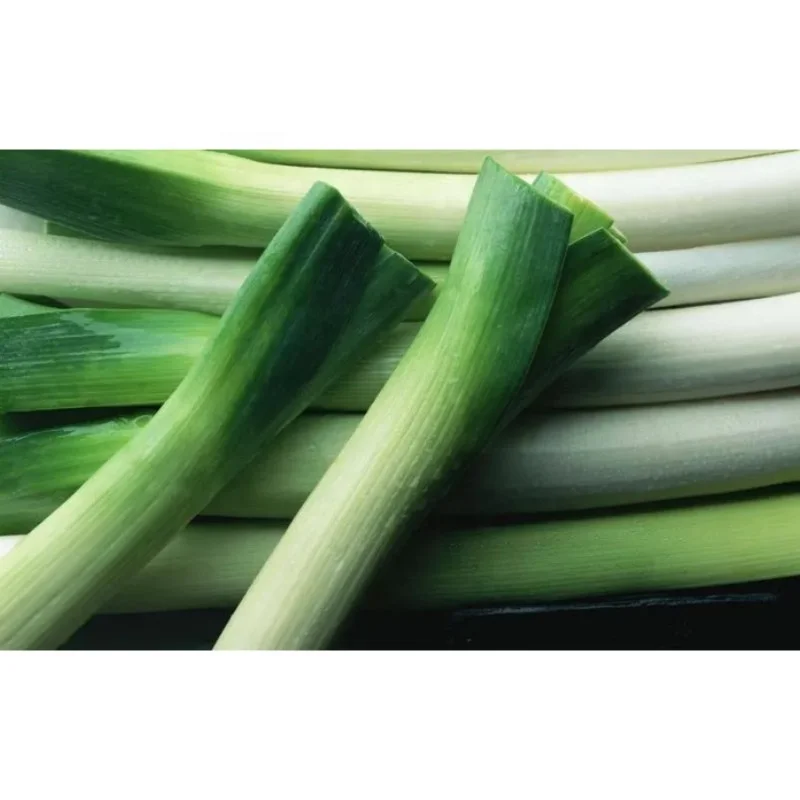 Chinese Scallions Allium Fistulosum Green Onion