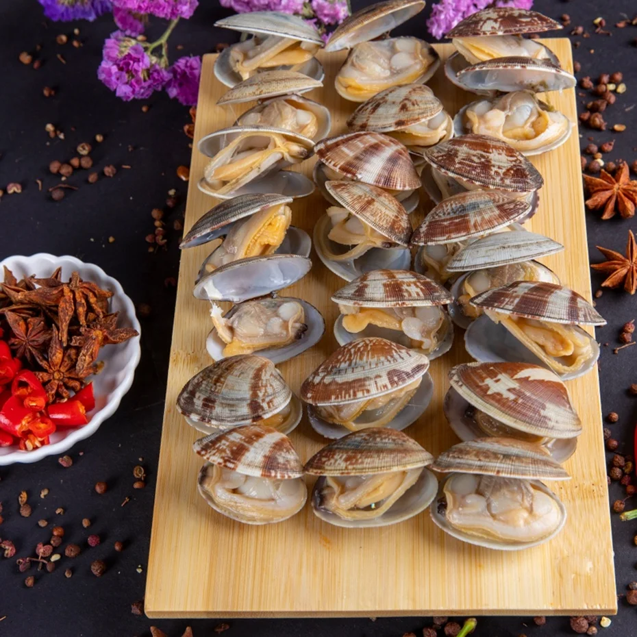 
Frozen Fresh New Boiled Short Necked Clam With Shell 