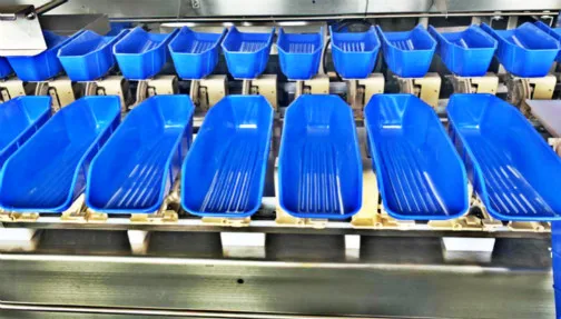 Factory directly supply crab shrimp seafood scale sorter weight grading machine for sale