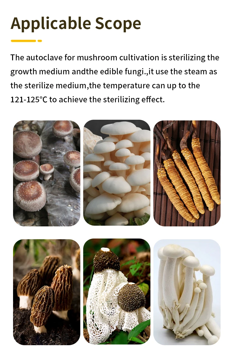 Edible fungus sterilizer 4.jpg