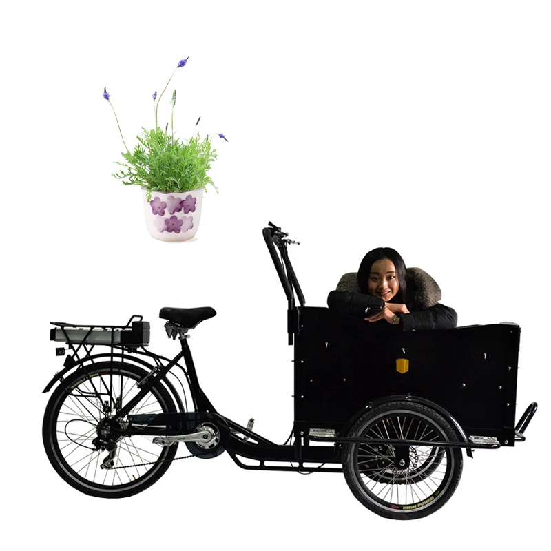 China Loading 200kg cargo bike pickup truck crane three wheel cargo tricycle for sale in philippines malaysia