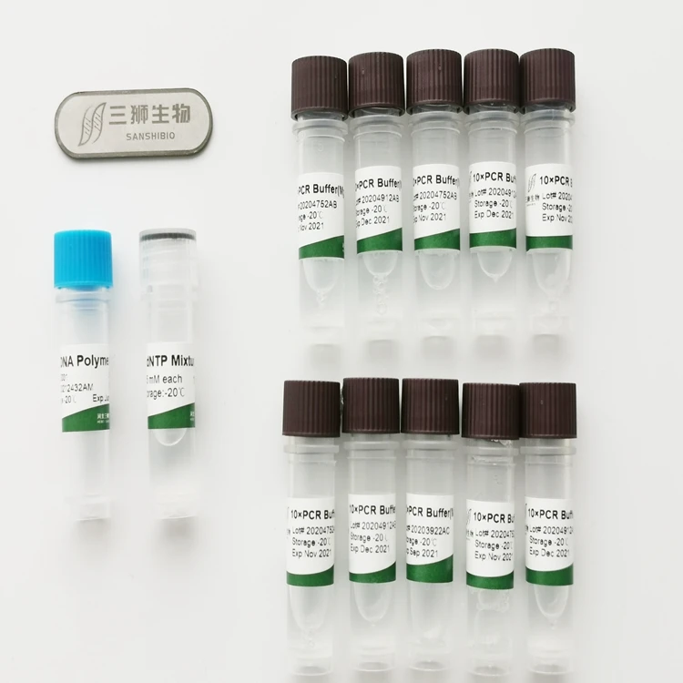 2021 premium high-end taq dna polymerase(with mg2 ) enzyme polymerase chain reaction