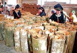VIETNAM CINNAMON  best PRICE CINNAMON STICK/CASSIA AND SPLIT
