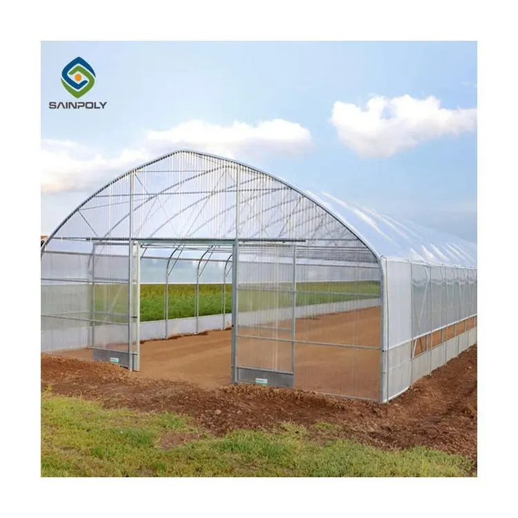 Professional High quality smart agricultural greenhouse farm for sale