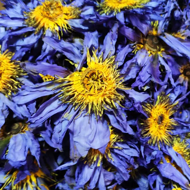 Natural Herbal Blue Lotus Dried Tea Blue Lotus Herbal Tea