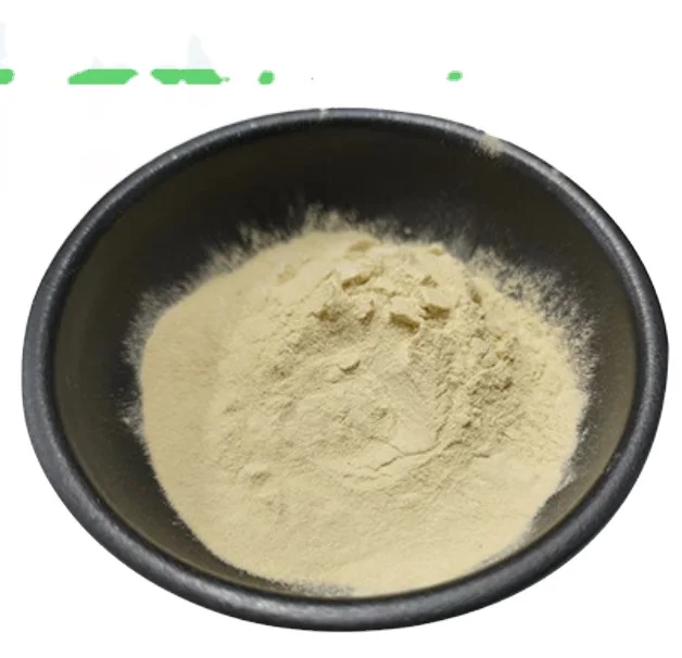 Hotsale food garde natural DHA 10% Schizophyllum DHA Schizochytrium powder for sale