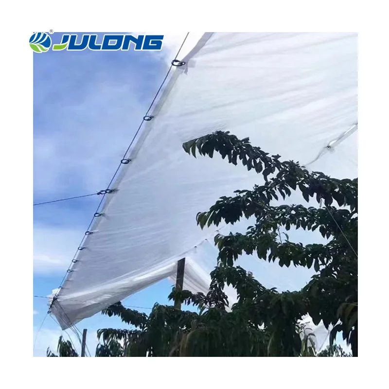 Automated multi span greenhouse retractable orchard covers rain proof waterproof wind hail protection berry tent greenhouse